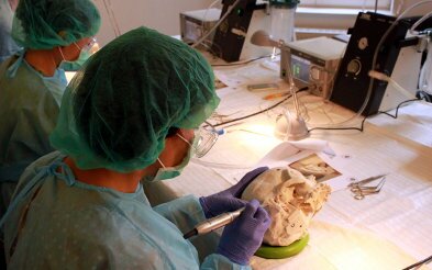 Felsenbeinchirurgie Mastoidektomie